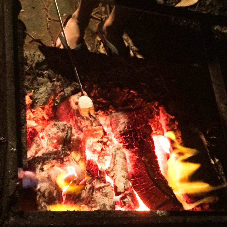 The Broulee Easter Bunny - Toasting marshmallows